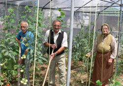 Mutfak yaşlılardan soruluyor