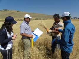 Posco Asasan TST Sevkiyata başladı