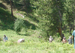 Orman İşletmisinden örnek uygulama
