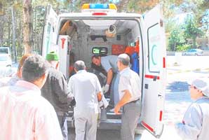 KÖPEK YÜZÜNDEN SARAMPOLE UÇTU