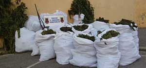 Esrar Operasyonu