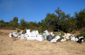 Uyuşturucu operasyonu