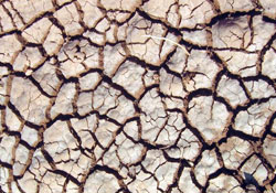 İlçelere kuraklık desteği