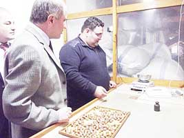 Fındık üreticiyi zarara sokuyor