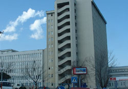 Hastanelerde doktor kalmadı