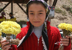 Yayla çiçekleriyle okuyorlar