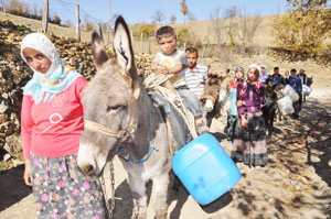 CANİK"te EŞEK KAVGASI