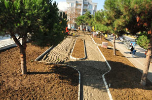 Taşçıoğlu Yenileniyor