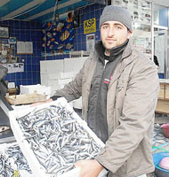 Bafrada hamsi bolluğu