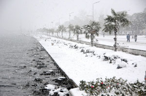 ORTA KARADENİZ KARA TESLİM