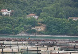 Ordu'da balık deposu