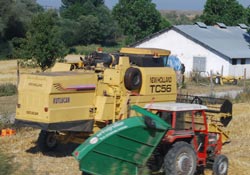 Hasat sezonu sona erdi