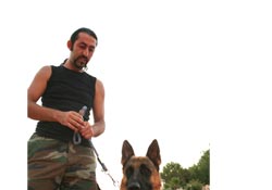 Köpekler sosyalleşiyor