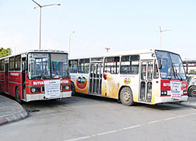 Baltayı taşa vurdu