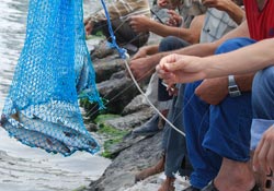 Balıkçıların kefa bereketi