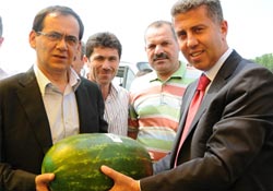 Çınarlık eğlenceye doydu