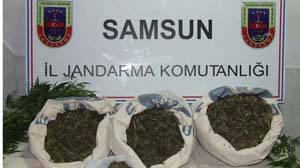 polis ve jandarmasının 2012-2013 karnesi