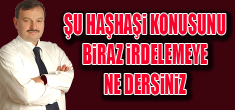 ŞU HAŞHAŞİ KONUSUNU BİRAZ İRDELEMEYE NE DERSİNİZ