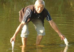 Melen çayında balıklar ölüyor