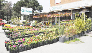 ÇİÇEKÇİNİN KASASINDAN 8 BİN LİRA ÇALDI