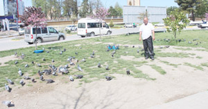 Çevreden topladıklarıyla sokak hayvanlarına bakıyor