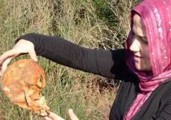 Defineciler mezar yağmaladı