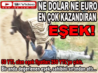 Ne dolar ne euro, en iyi yatırım eşek!