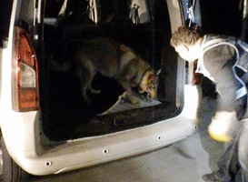 41 KİLO 722 GRAM EROİNİ BULDU