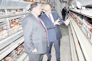 Başkan kul:Tarımı destekleyeceğiz