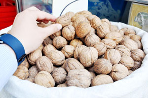 CEVİZ VE FINDIK FİYATLARI UÇTU