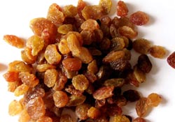 kuru üzüm rekoltesi açıklanıyor