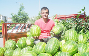 Bafra'da yerli karpuz satışı başladı