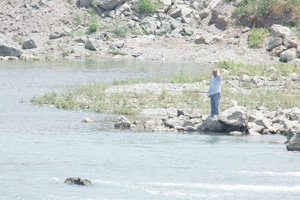 Kızılırmak Nehri balıksız kaldı