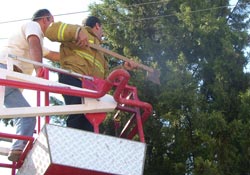 Elektrik telleri ağacı tutuşturdu