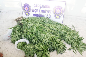 Çarşamba'da uyuşturucu operasyonu