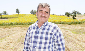 Kayıp yüzde 80'lere ulaştı, çiftçi çaresiz