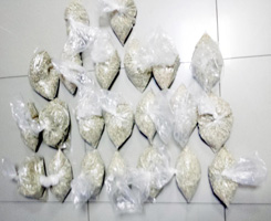 POLİSTEN BONZAİ OPERASYONU