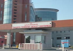 Kene Sakarya'da hortladı