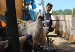 Kunduz Şenlikleri coşkulu geçti