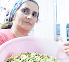 BAMYA VİTAMİN VE MİNAREL BAKIMINDAN ZENGİN