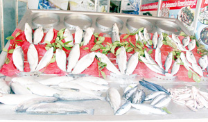 TEZGAHLAR 1 EYLÜL'Ü BEKLİYOR