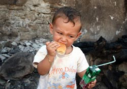 Yangın yaraları sarılıyor