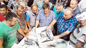 AV SEZONU AÇILDI BALIK HALİNDE HAREKET BAŞLADI