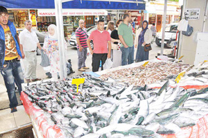 Balıkçılar 50 ton palamutla döndü