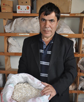 KURAKLIĞA DAYANIKLI FASULYE GELİŞTİRİLİYOR