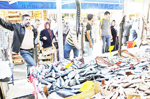 İri palamudun tanesi 5 liradan satılıyor