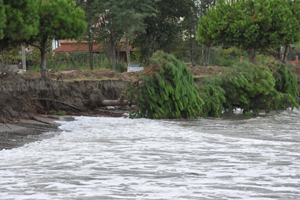 Hırçın dalgalar sahili alt üst etti