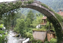 Doğu Karadeniz'e çevreci çıkartması