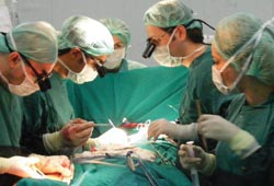 Hayata yeniden döndü