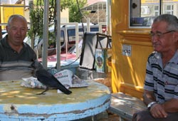 Şoförlerinin hayvan sevgisi